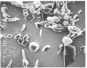 Quest-AquaVantage-Hardness crystals pre-treatment