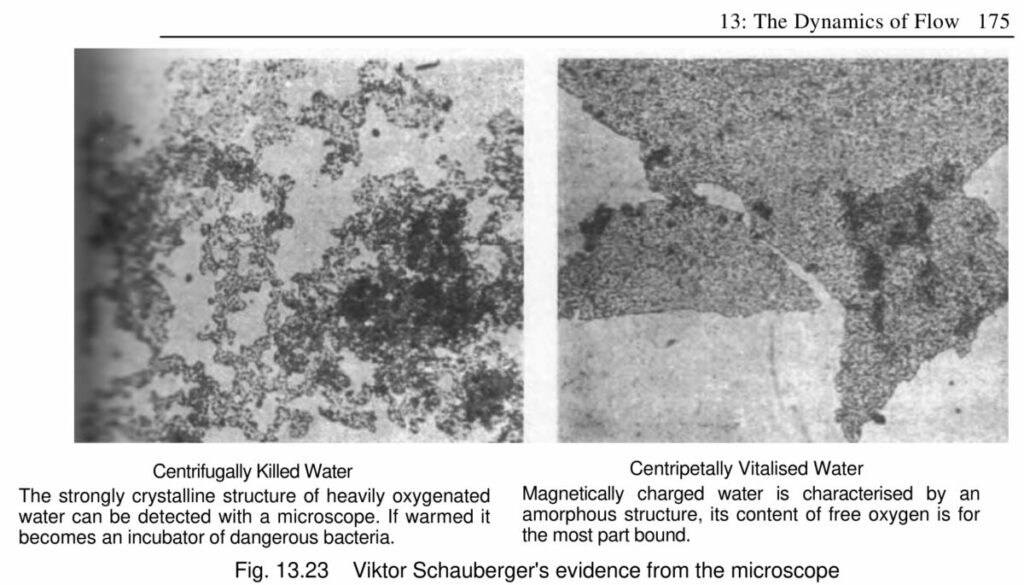 incoherent and coherent water. Viktor Schauberger